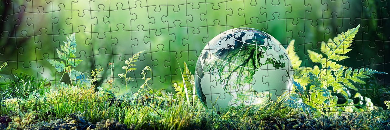 Des Puzzles durables : Notre contribution à la protection de l’environnement