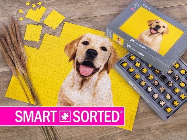 smart sorted puzzle